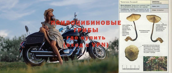 a pvp Нязепетровск
