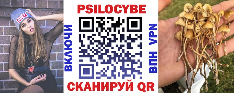 мега онион  как найти закладки  Чегем  Псилоцибиновые грибы GOLDEN TEACHER 
