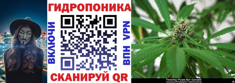 Канабис индика  хочу наркоту  kraken зеркало  Чегем 
